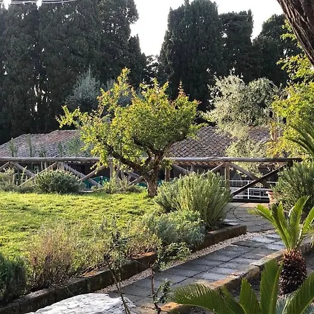 露西亚旅馆