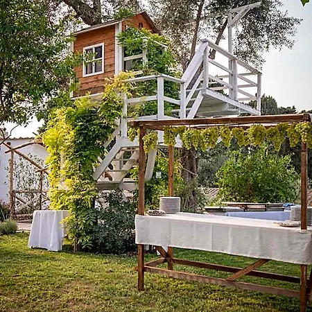 Alojamento de Acomodação e Pequeno-almoço Casa Lucia Sorrento